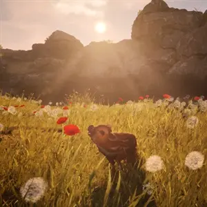 Adorable Adventures – Amapola