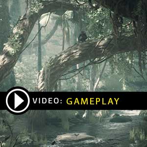 Ancestors The Humankind Odyssey Gameplay Video