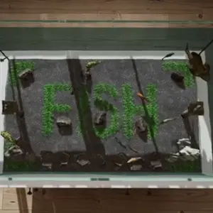 Aquarium in Cafe – Acuario