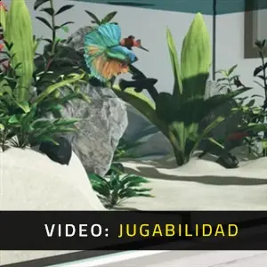 Aquarium in Cafe – Jugabilidad