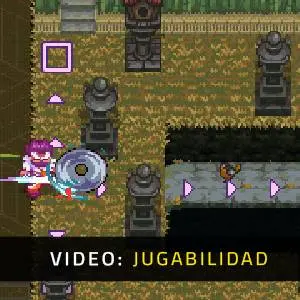 Arashi Gaiden - Video de la Jugabilidad