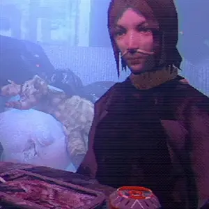 Arctic Eggs - Mujer