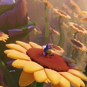 Arise A Simple Story Campo de Girasoles