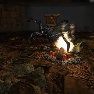 Arx Fatalis - Fuego