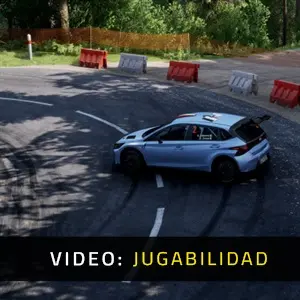 Assetto Corsa Rally - Jugabilidad