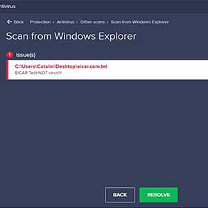 AVAST Pro Antivirus 2020 - Temas