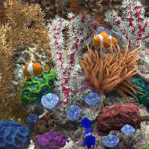 Behind Glass: Aquarium Simulator - Pez Payaso