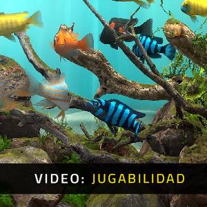 Behind Glass: Aquarium Simulator - Video de Jugabilidad