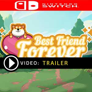 Best Friend Forever Nintendo Switch Prices Digital or Box Edition