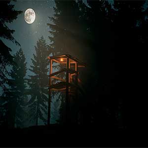 Finding Bigfoot - Noche