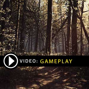 Blair Witch Xbox One Gameplay Video