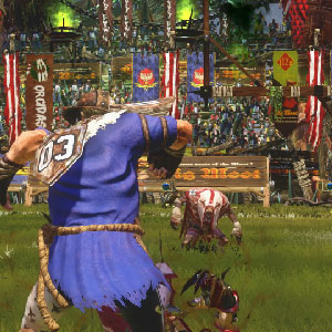 Blood Bowl 2 Official Expansion Game Image