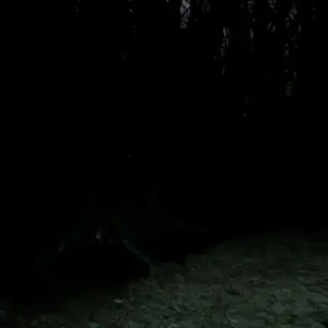 Blood Hunting - Cueva