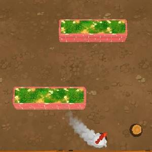 Bouncy Chicken - Carrera