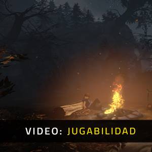 Brothers A Tale of Two Sons Video de la jugabilidad