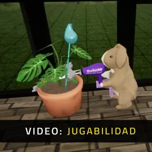 Bunhouse - Jugabilidad
