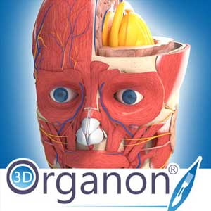 Comprar 3D Organon Anatomy CD Key Comparar Precios