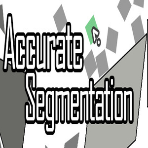 Comprar Accurate Segmentation CD Key Comparar Precios