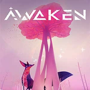 Awaken Pc