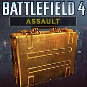 Battlefield 4 Assault