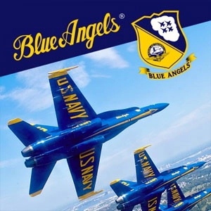 Blue Angels Aerobatic Flight Simulator Playstation 4