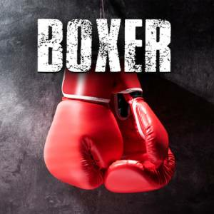 Boxer Switch