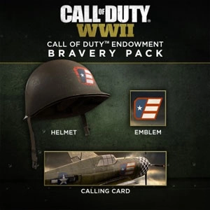 COD WW2 Call of Duty Endowment Bravery Pack Pc