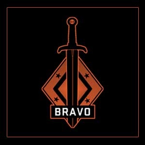 CSGO Series 2 Bravo Collectible Pin Pc