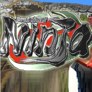 Comprar Diorama Battle of Ninja CD Key Comparar Precios