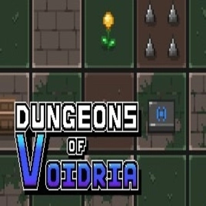Dungeons of Voidria Pc