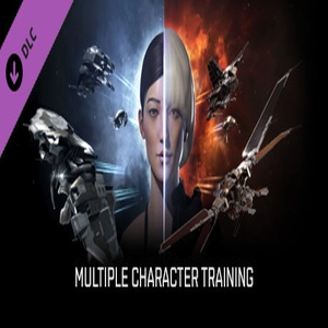 EVE Online Multiple Character Training