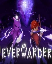 Everwarder Switch