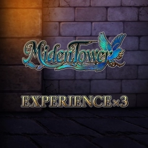 Experience x3 Miden Tower Playstation 4