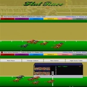 Flat Race Horse Racing