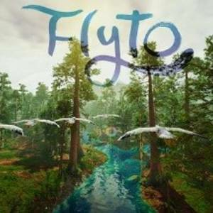 Flyto Pc