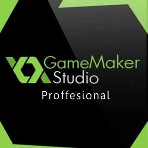 GameMaker Studio Proffesional