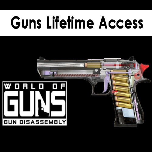 Guns Lifetime Access