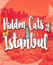 Hidden Cats in Istanbul Switch
