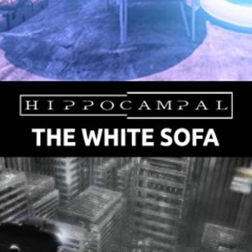 Hippocampal The White Sofa
