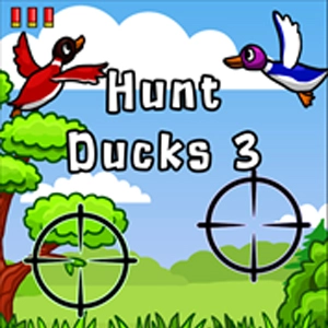 Hunt Ducks 3 Pc