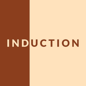 Induction Switch