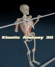 Kinetic Anatomy 3D Pc