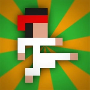 Kung Fu FIGHT Pc