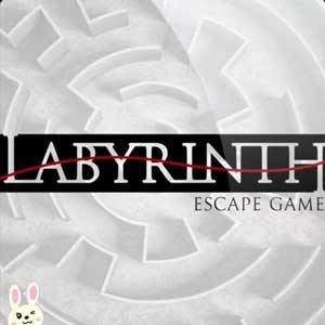 Labyrinth Escape Pc