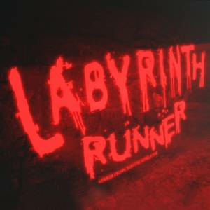 Labyrinth Runner Switch