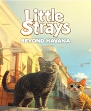 Little Strays Beyond Havana Switch