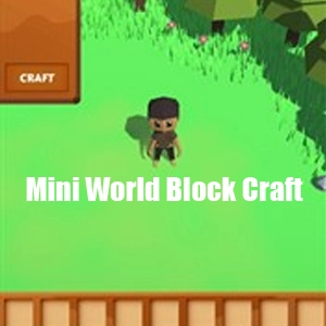 Mini World Block Craft Pc