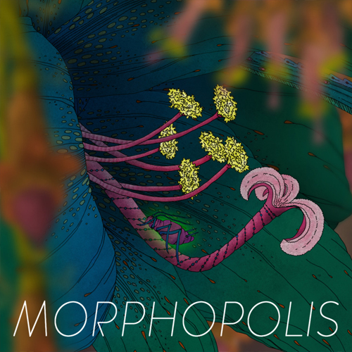 Comprar Morphopolis CD Key Comparar Precios