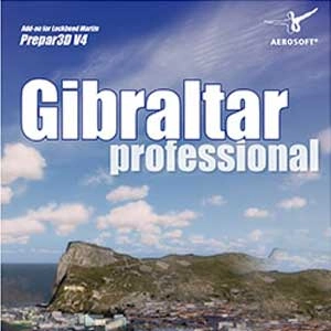 P3D V4 Gibraltar professional Pc