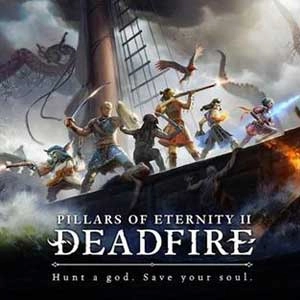 Pillars of Eternity 2 Deadfire Critical Role Pc